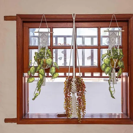 Semesterbostad Casa Justina Garachico (Tenerife)