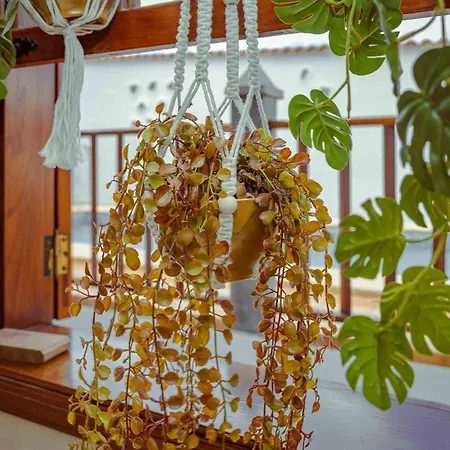 Сasa de vacaciones Casa Justina Garachico (Tenerife)